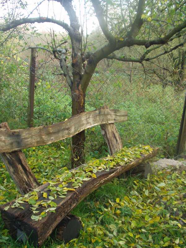 Holzbank im Wald